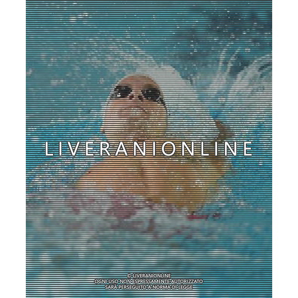 Campionato Italiano Assoluto UnipolSai di Nuoto Riccione (RN) - 05.04.2017 Nella Foto:Turrini Federico /Ph.Vitez-Ag. Aldo Liverani