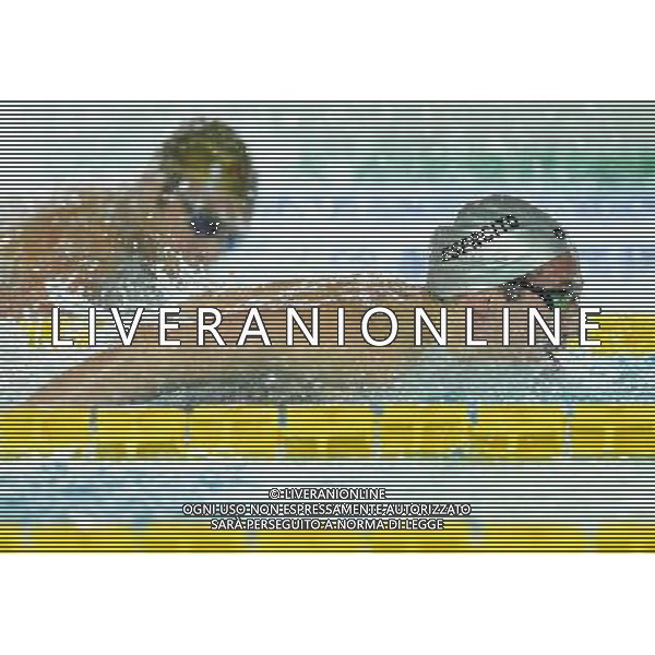 Campionato Italiano Assoluto UnipolSai di Nuoto Riccione (RN) - 05.04.2017 Nella Foto:Codia Piero /Ph.Vitez-Ag. Aldo Liverani