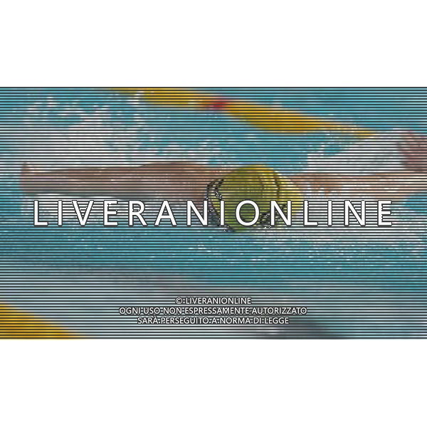 Campionato Italiano Assoluto UnipolSai di Nuoto Riccione (RN) - 06.04.2017 Nella Foto:Di Liddo Elena /Ph.Vitez-Ag. Aldo Liverani