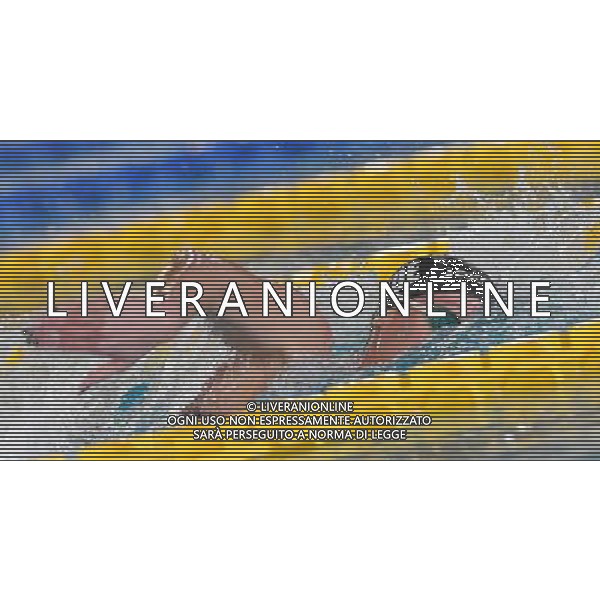 Campionato Italiano Assoluto UnipolSai di Nuoto Riccione (RN) - 07.04.2017 Nella Foto:Pellegrini Federica /Ph.Vitez-Ag. Aldo Liverani