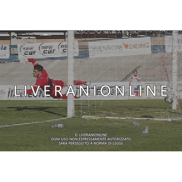 Forl“ - Maceratese Campionato di calcio Lega Pro girone B 09/04/2017 nella foto: il goal del forl“ ©Claudio Zamagni/Agenzia Aldo Liverani 