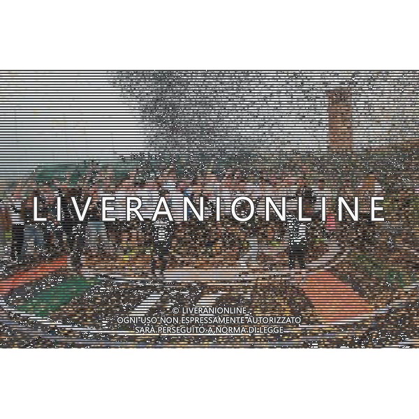 Venezia - Fano Campionato Calcio Lega Pro 35a giornata 15 aprile 2017 nella foto Festeggiamenti, esultanza del venezia a fine gara per la promozione in serie B Â© GARBUIO / AGENZIA ALDO LIVERANI SAS 