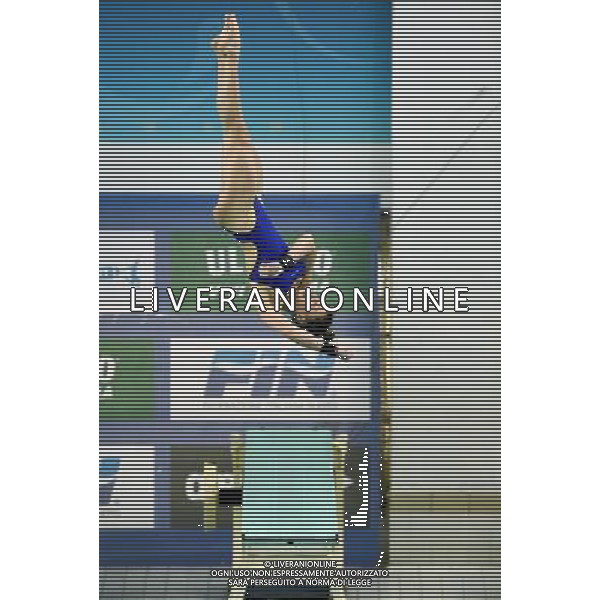 Campionati Italiani Assoluti Indoor di tuffi Torino - 13.05.2017 Nella Foto:Situazione Tuffi /Ph.Vitez-Ag. Aldo Liverani