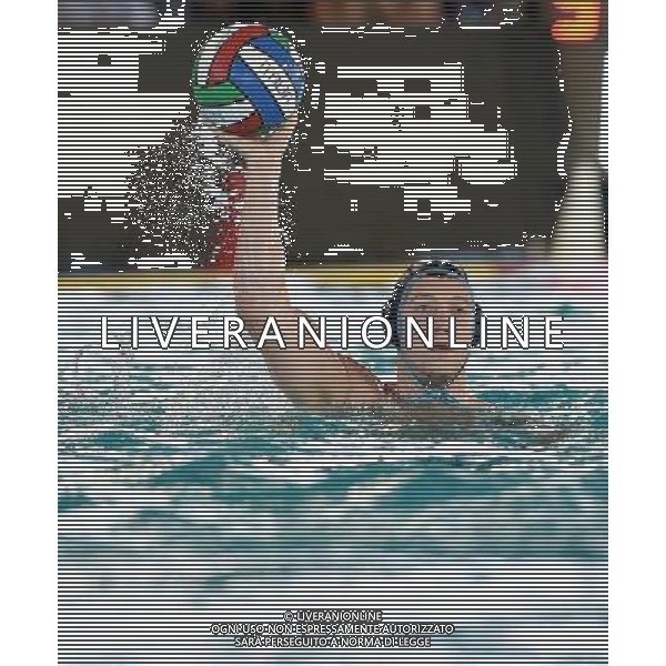 Final Six Scudetto Pallanuoto A1 Maschile Finale Torino - 20.05.2017 Finale Pro Recco - AN Brescia Nella Foto:Randelovic Sava /Ph.Vitez-Ag. Aldo Liverani