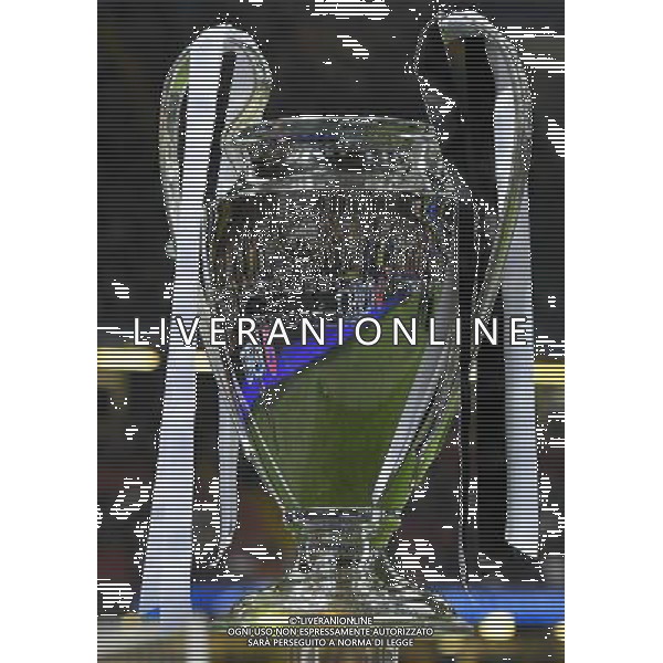 UEFA Champions League 2016/2017 Finale Cardiff (Galles) - 03.06.2017 Juventus-Real Madrid Nella Foto:Coppa Champions League /Ph.Vitez-Ag. Aldo Liverani