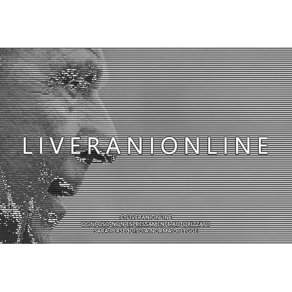 Amichevole Nizza (Francia) - 07.06.2017 Italia-Uruguay Nella Foto:Ventura Gian Piero /Ph.Vitez-Ag. Aldo Liverani