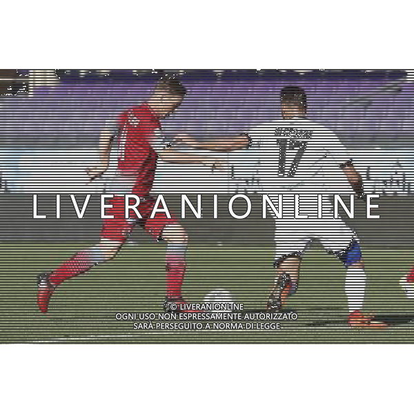 Parma - Alessandria Finale Play Off Lega Pro 17/06/2017 nella foto: Fischnaller Manuel VALERIO DI CESARE Â©Claudio Zamagni/Agenzia Aldo Liverani / AGENZIA ALDO LIVERANI SAS - Parma - Alessandria partita Finale Play Off Lega Pro a Firenze 17/06/2017