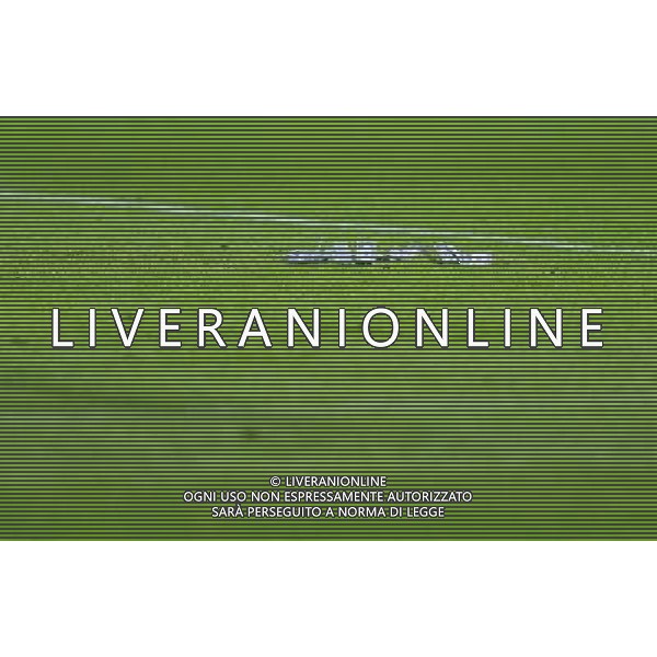 2017.06.18 Krakow Pilka Nozna Mistrzostwa Europy U21 Dania - Wlochy N/z Gianluigi Donnarumma dolar obrzucony pieniedzmi Foto Rafal Rusek / PressFocus 2017.06.18 Krakow Football UEFA Under21 Championship Poland 2017 Denmark - Italy Gianluigi Donnarumma dolar obrzucony pieniedzmi Credit: Rafal Rusek / PressFocus / NEWSPIX.PL --- Newspix.pl AG ALDO LIVERANI SAS *** Local Caption *** www.newspix.pl mail us: info@newspix.pl call us: 0048 022 23 22 222 --- Polish Picture Agency by Ringier Axel Springer Poland