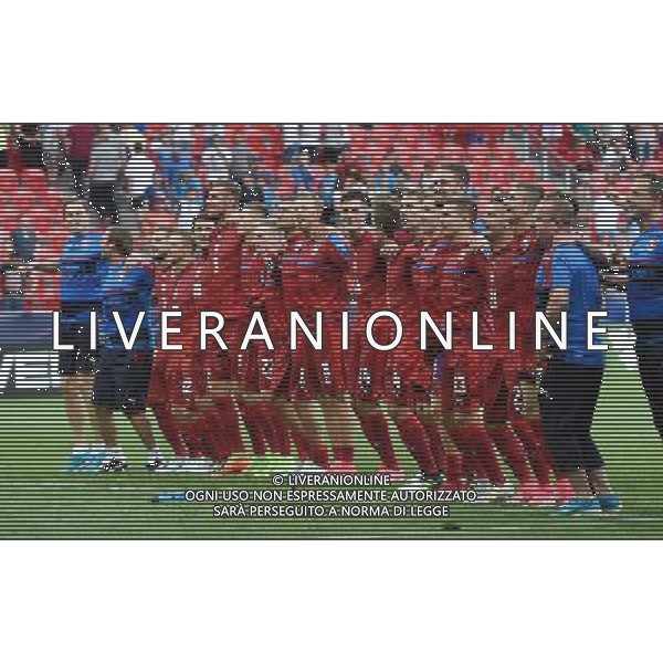UEFA Campionato Europeo Under 21 Polonia 2017 Gruppo C Tychy (Polonia) - 21.06.2017 Repubblica Ceca-Italia Nella Foto:i giocatori della repubblica ceca esultanza a fine gara /Ph.Vitez-Ag. Aldo Liverani