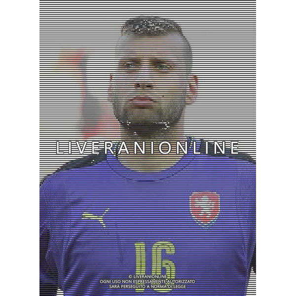 UEFA Campionato Europeo Under 21 Polonia 2017 Gruppo C Tychy (Polonia) - 21.06.2017 Repubblica Ceca-Italia Nella Foto:Lukas Zima /Ph.Vitez-Ag. Aldo Liverani