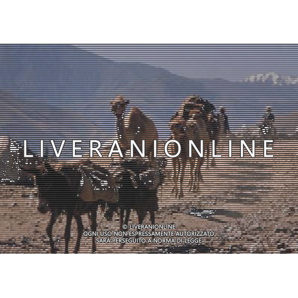 AFGANISTAN NELLA FOTO APPROVIGIONAMENTO GUERRIGLIERI AG ALDO LIVERANI SAS