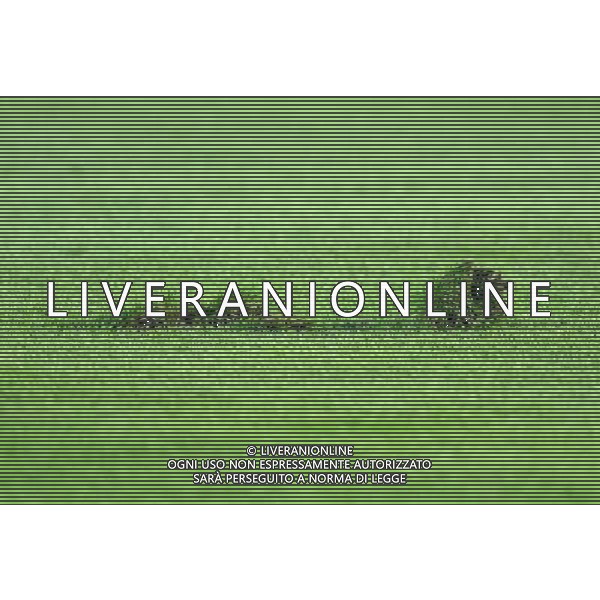 UEFA Campionato Europeo Under 21 Polonia 2017 Finale Krakow (Polonia) - 30.06.2017 Germania-Spagna Nella Foto:Campo Zolla /Ph.Vitez-Ag. Aldo Liverani