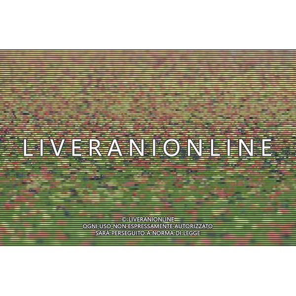 UEFA Campionato Europeo Under 21 Polonia 2017 Finale Krakow (Polonia) - 30.06.2017 Germania-Spagna Nella Foto:Coriandoli campo /Ph.Vitez-Ag. Aldo Liverani