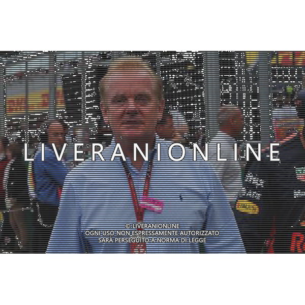 Jonathan Palmer (GBR) on the grid. 16.07.2017. Formula 1 World Championship, Rd 10, British Grand Prix, Silverstone, England, Race Day. AG ALDO LIVERAI SAS ONLY ITALY