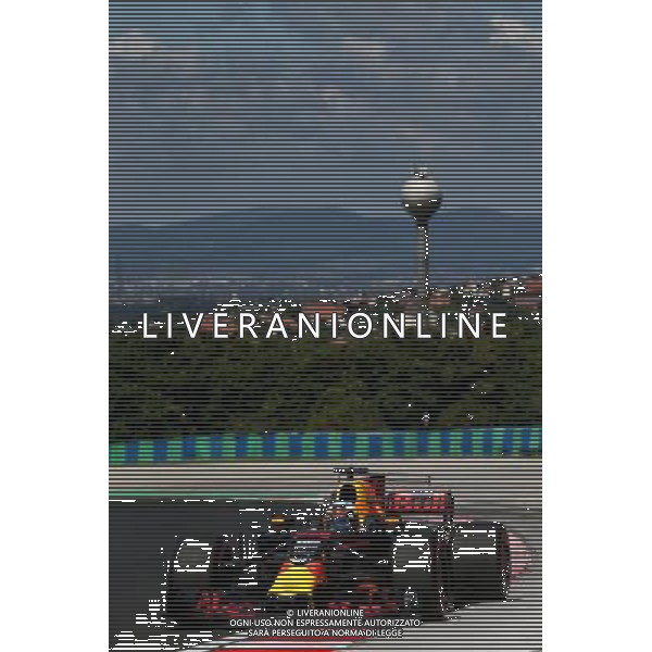 Daniel Ricciardo (AUS) Red Bull Racing RB13. 28.07.2017. Formula 1 World Championship, Rd 11, Hungarian Grand Prix, Budapest, Hungary, Practice Day. /AGENZIA ALDO LIVERANI SAS - ITALY ONLY EDITORIAL ONLY - GP F1 UNGHERIA PROVE LIBERE 28/07/2017