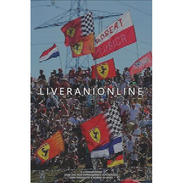 Fans and flags. 29.07.2017. Formula 1 World Championship, Rd 11, Hungarian Grand Prix, Budapest, Hungary, Qualifying Day. /AGENZIA ALDO LIVERANI SAS - ITALY ONLY - EDITORIAL USE ONLY - - GP F1 UNGHERIA PROVE UFFICIALI QUALIFICHE 29/07/2017