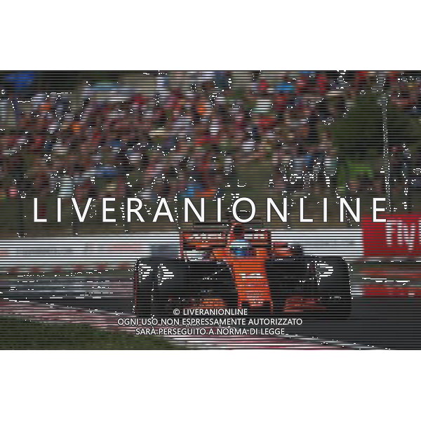 Fernando Alonso (ESP) McLaren MCL32. 30.07.2017. Formula 1 World Championship, Rd 11, Hungarian Grand Prix, Budapest, Hungary, Race Day. /AGENZIA ALDO LIVERANI SAS - ITALY ONLY - EDITORIAL USE ONLY - - GP F1 BUDAPEST UNGHERIA GARA 30/07/2017