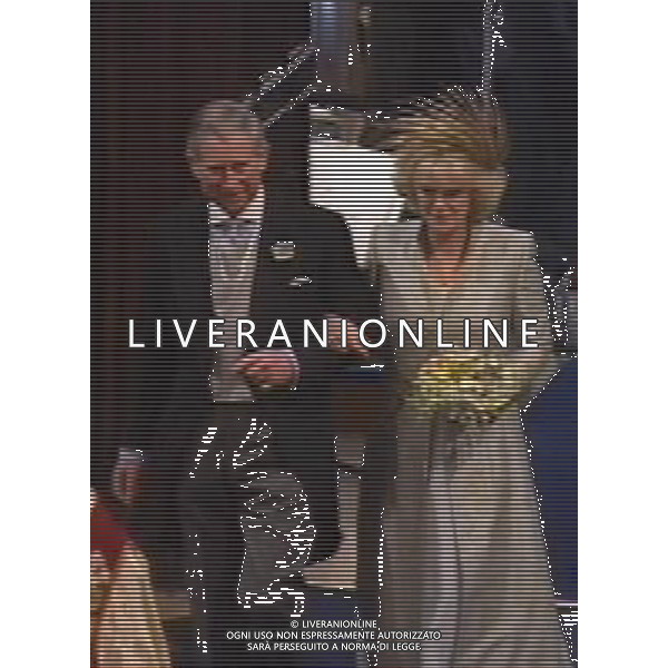 LONDRA 09/04/2005 MATRIMONIO FRA IL PRINCIPE CARLO D\'INGHILTERRA E CAMILLA PARKER-BOWLES OBBLIGATORIO CITARE LA FONTE TELEVISIVA FOTO AG. ALDO LIVERANI