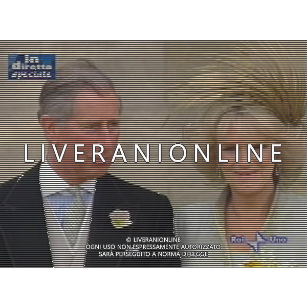 LONDRA 09/04/2005 MATRIMONIO FRA IL PRINCIPE CARLO D\'INGHILTERRA E CAMILLA PARKER-BOWLES OBBLIGATORIO CITARE LA FONTE TELEVISIVA FOTO AG. ALDO LIVERANI