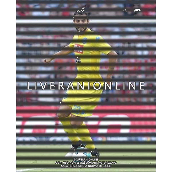 Audi Cup 2017 Semifinale Monaco di Baviera (Germania) - 01.08.2017 Atletico Madrid-Napoli Nella Foto:Albiol Raul /Ph.Vitez-Ag. Aldo Liverani