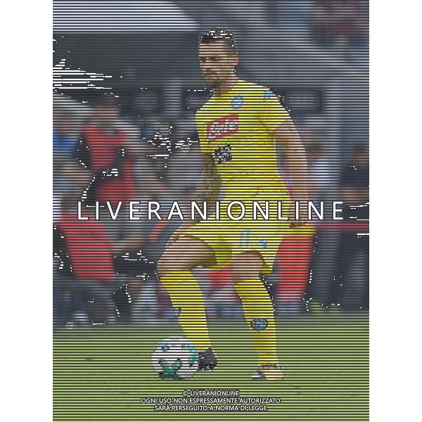 Audi Cup 2017 Semifinale Monaco di Baviera (Germania) - 01.08.2017 Atletico Madrid-Napoli Nella Foto:Maggio Christian /Ph.Vitez-Ag. Aldo Liverani