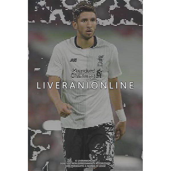 Audi Cup 2017 Semifinale Monaco di Baviera (Germania) - 01.08.2017 Bayern Monaco-Liverpool Nella Foto:Grujic Marko /Ph.Vitez-Ag. Aldo Liverani