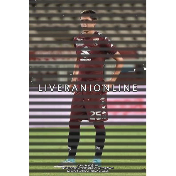 Torino 11-08-2017 Stadio Olimpico Grande Torino Coppa Italia TIM Cup - 3¡ turno Torino vs Trapani nella foto Sasa Lukic (Torino) foto Roberto Garavaglia - ag. Aldo Liverani sas