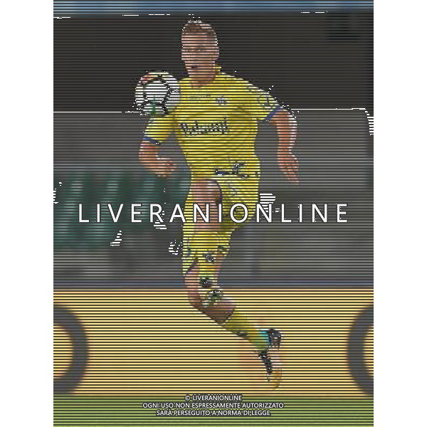 Coppa Italia TIM Cup 2017/2018 Terzo Turno Verona - 12.08.2017 Chievo-Ascoli Nella Foto:Birsa Valter /Ph.Vitez-Ag. Aldo Liverani