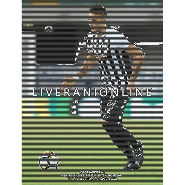 Coppa Italia TIM Cup 2017/2018 Terzo Turno Verona - 12.08.2017 Chievo-Ascoli Nella Foto:Mogos Vasile /Ph.Vitez-Ag. Aldo Liverani
