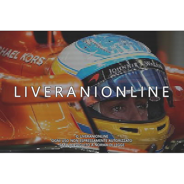 Fernando Alonso (ESP) McLaren MCL32. 15.09.2017. Formula 1 World Championship, Rd 14, Singapore Grand Prix, Marina Bay Street Circuit, Singapore, Practice Day. AG ALDO LIVERANI SAS ONLY ITALY