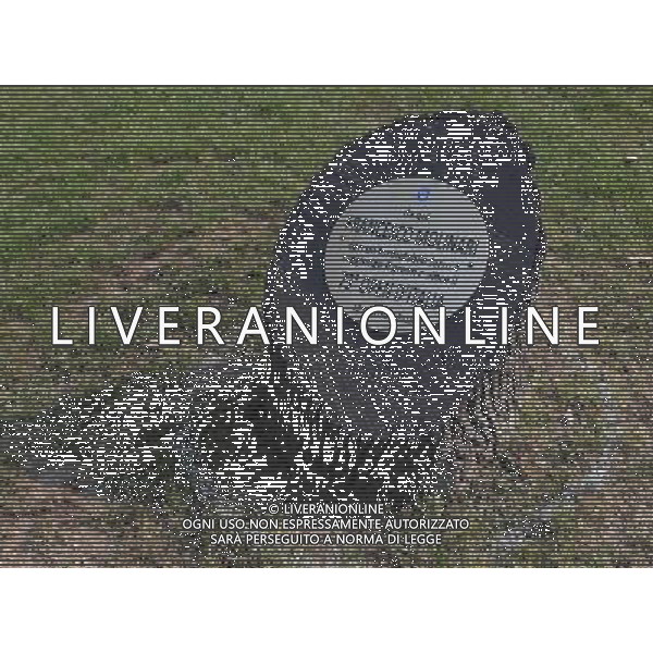 74Â° Open d\'Italia di Golf Monza (MB) - 13.10.2017 Nella Foto:Ceppo ricordo per la vittoria di Francesco Molinaro nell edizione 2016 /Ph.Vitez-Ag. Aldo Liverani