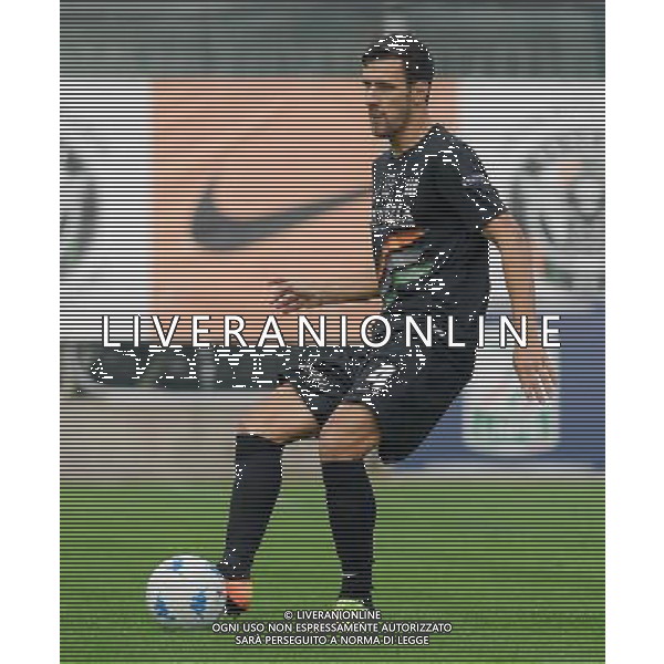 Campionato di Calcio Serie B ConTe.it 2017/2018 10a Giornata Venezia - 21.10.2017 Venezia-Empoli Nella Foto:Sinisa Andelkovic /Ph.Vitez-Ag. Aldo Liverani