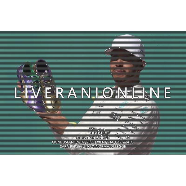 1st place Lewis Hamilton (GBR) Mercedes AMG F1 W08. 22.10.2017. Formula 1 World Championship, Rd 17, United States Grand Prix, Austin, Texas, USA, Race Day. / AGENZIA ALDO LIVERANI SAS - ITALY ONLY EDITORIAL USE ONLY