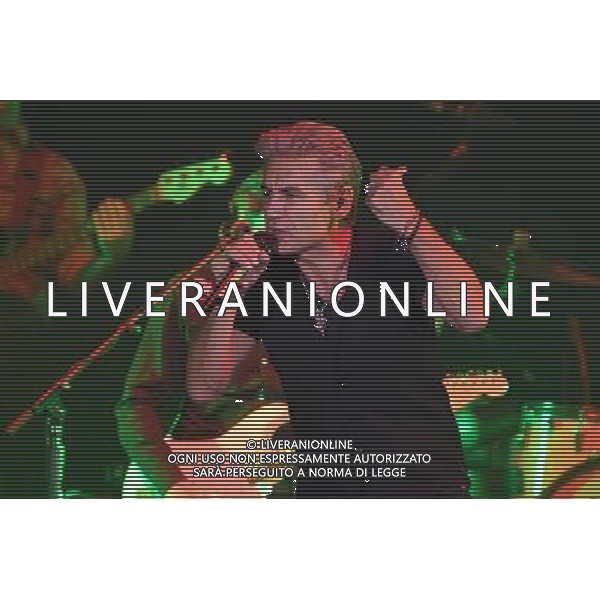 27-10-2017 BOLOGNA UNIPOL ARENA CONCERTO LIGABUE NELLA FOTO IL CONCERTO DI LIGABUE A BOLOGNA FOTO OPTIMA-AG ALDO LIVERANI SAS