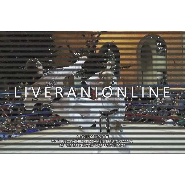 Esibizione di Taekhondo 10/07/2013 Imola FOTO GIANNI SANNA-AG ALDO LIVERANI SAS