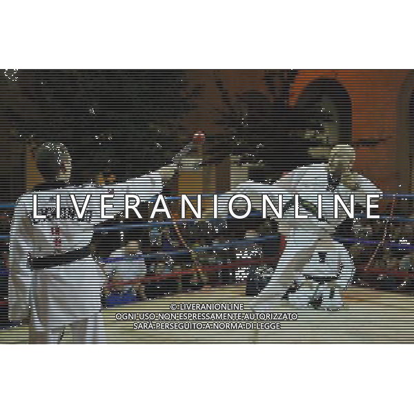 Esibizione di Taekhondo 10/07/2013 Imola FOTO GIANNI SANNA-AG ALDO LIVERANI SAS