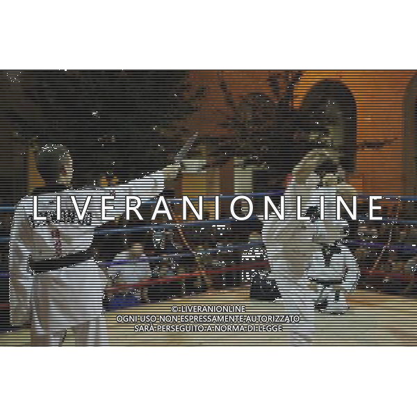 Esibizione di Taekhondo 10/07/2013 Imola FOTO GIANNI SANNA-AG ALDO LIVERANI SAS