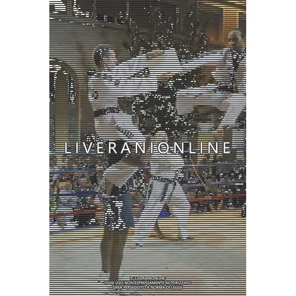 Esibizione di Taekhondo 10/07/2013 Imola FOTO GIANNI SANNA-AG ALDO LIVERANI SAS