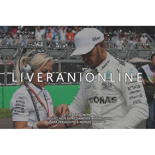 Lewis Hamilton (GBR) Mercedes AMG F1 on the grid. 29.10.2017. Formula 1 World Championship, Rd 18, Mexican Grand Prix, Mexico City, Mexico, Race Day. AG ALDO LIVERANI SAS ONLY ITALY
