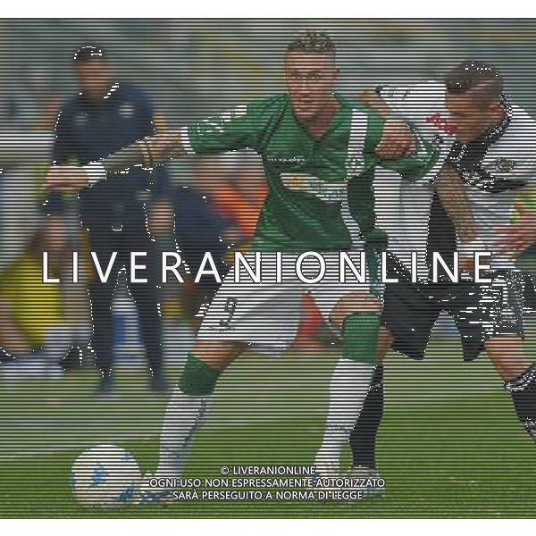 Campionato di Calcio Serie B ConTe.it 2017/2018 12a Giornata Parma - 29.10.2017 Parma-Avellino Nella Foto:Ardemagni Matteo /Ph.Vitez-Ag. Aldo Liverani