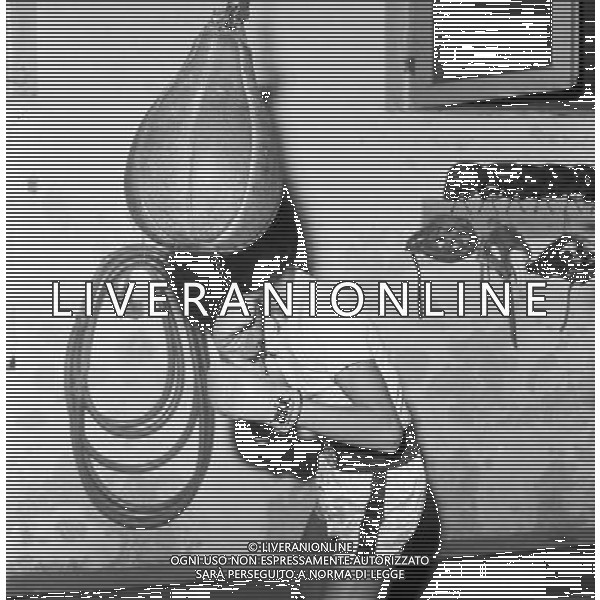 JUAN CARLOS DURAN, pugile argentino naturalizzato italiano - RETROSPETTIVA nella foto il figlio Alessandro durante l\'allenamento in palestra a Ferrara nel 1980 ©ARCHIVIO / AGENZIA ALDO LIVERANI SAS 