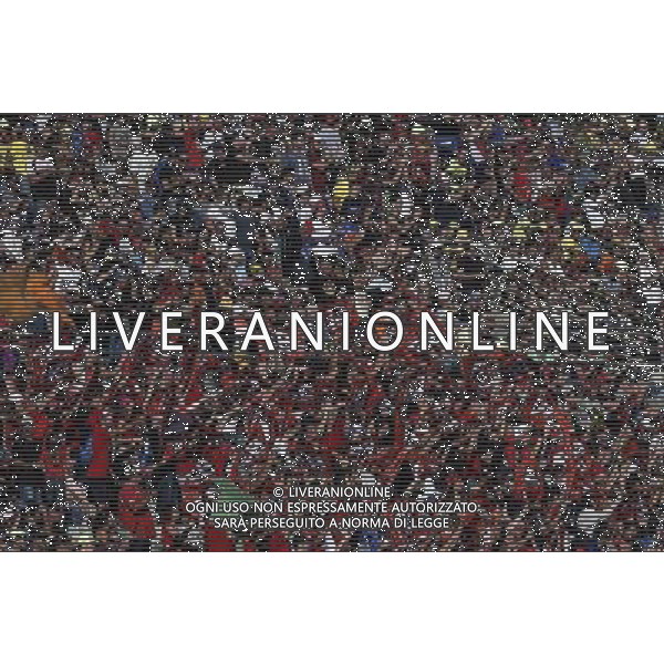 11.11.2017. Circuito Ricardo Tormo, Valencia, Spagna Marquez Fans FOTO G.PIAZZOLLA-AG ALDO LIVERANI SAS