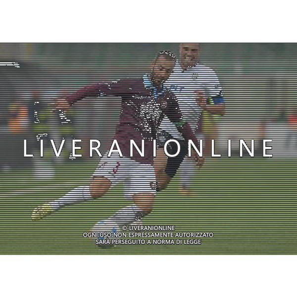 Campionato di Calcio Serie B ConTe.it 2017/2018 14a Giornata Cesena (FC) - 12.11.2017 Cesena-Salernitana Nella Foto:Luigi Vitale /Ph.Vitez-Ag. Aldo Liverani