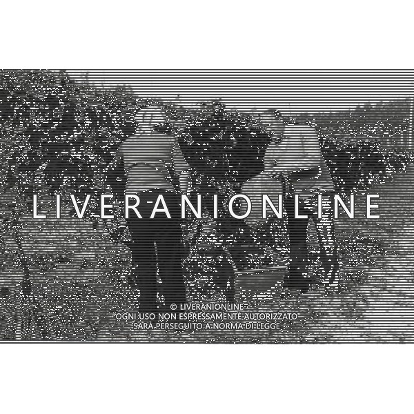 RETROSPETTINA NILS LIEDHOLM ALLENATORE NELLA FOTO NILS LIEDHOLM AG ALDO LIVERANI SAS