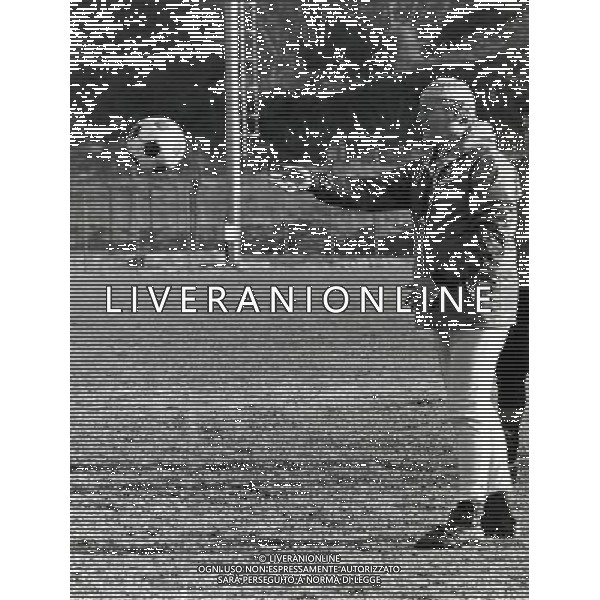 RETROSPETTINA NILS LIEDHOLM ALLENATORE NELLA FOTO NILS LIEDHOLM ALLENATORE ROMA AG ALDO LIVERANI SAS