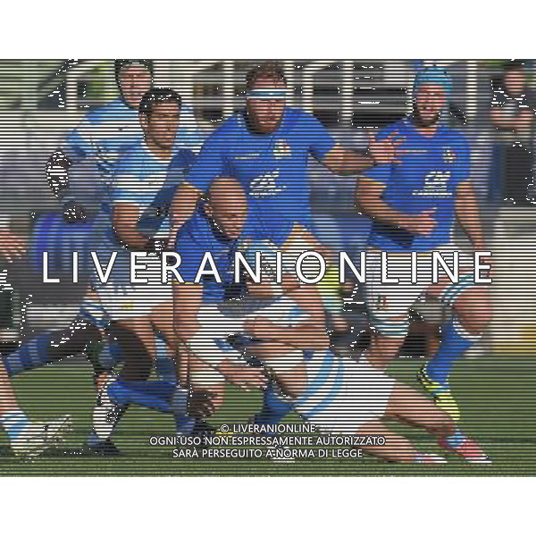 Credit Agricole Cariparma Test Match 2017 di Rugby Firenze - 18.11.2017 Italia-Argentina Nella Foto:Sergio Parisse /Ph.Vitez-Ag. Aldo Liverani