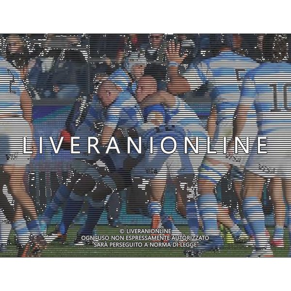 Credit Agricole Cariparma Test Match 2017 di Rugby Firenze - 18.11.2017 Italia-Argentina Nella Foto:Sergio Parisse /Ph.Vitez-Ag. Aldo Liverani