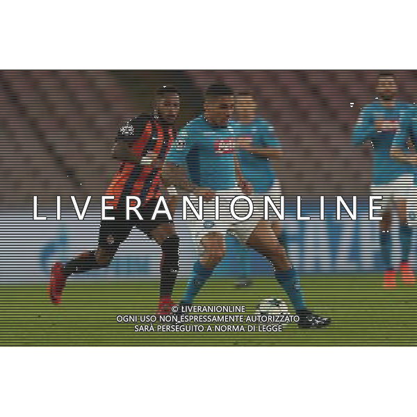 NAPOLI - SHAKHTAR DONETSK CHAMPIONS LEAGUE 21 NOVEMBRE 2017 NELLA FOTO ALLAN E FRED ©MOSCA / AGENZIA ALDO LIVERANI SAS 