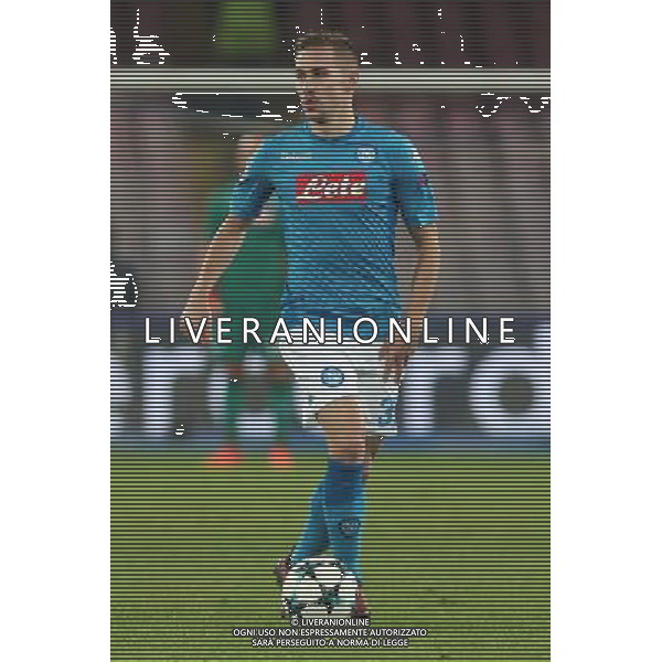 21-11-2017 NAPOLI SHAKHTAR DONETSK CHAMPIONS LEAGUE NELLA FOTO: MARKO ROG FOTO MOSCA-AG.LIVERANI