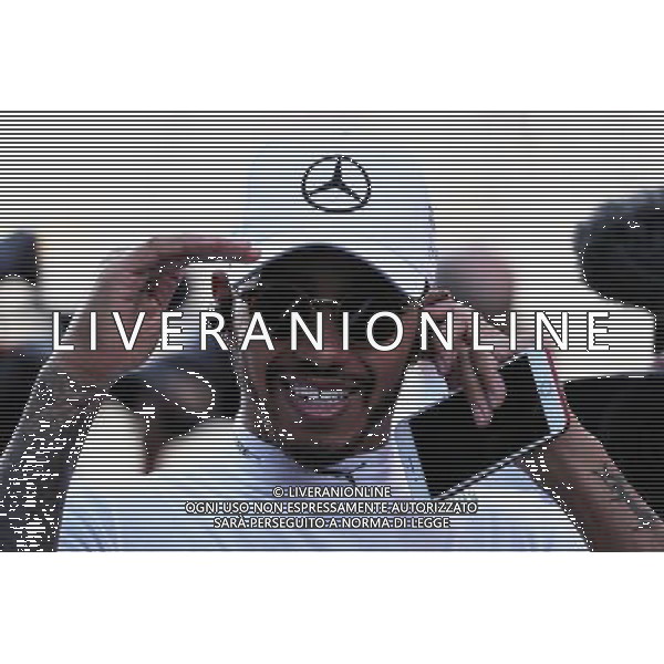 Lewis Hamilton (GBR) Mercedes AMG F1 on the drivers parade. 26.11.2017. Formula 1 World Championship, Rd 20, Abu Dhabi Grand Prix, Yas Marina Circuit, Abu Dhabi, Race Day. AG ALDO LIVERANI SAS ONLY ITALY